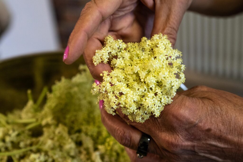 Des fleurs de Sureau qui apportent aux confitures des délices du potager une touche originales et florale délicieuse ! 