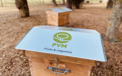 PVM engagée pour la biodiversité francilienne